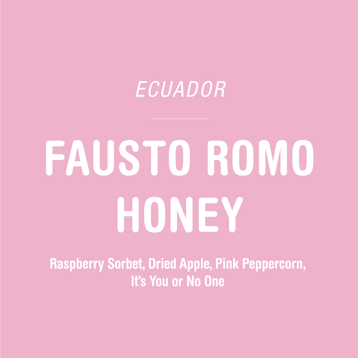 Fausto Romo Honey - Ecuador by Tandem Coffee Roasters is a honey-processed Sidra with tasting notes of Raspberry Sorbet, Dried Apple, and Pink Peppercorn.