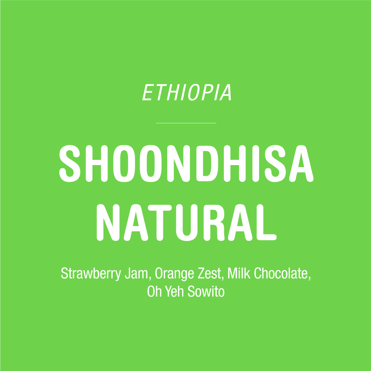 Green background with white text: Ethiopia. Shoondhisa Natural – Tandem Coffee Roasters. Savor this vibrant natural Ethiopian coffee, featuring tasting notes of strawberry jam, orange zest, and milk chocolate—Oh Yeh Sowito! A standout Guji coffee from Tandem, expertly dry-processed to showcase its unique character.